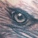 tattoo galleries/ - HD eagle - 51498